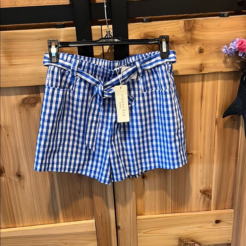 Copper Key Blue and White Gingham High Waist Paperbag Shorts